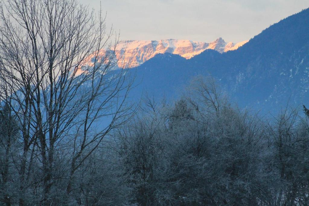 Hotel Kraftquelle Schlossblick Angerberg  Dış mekan fotoğraf